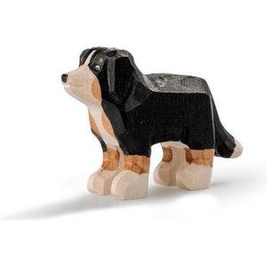 Trauffer ProSpecieRara Appenzeller Sennenhund