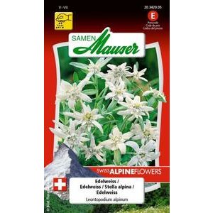 Samen Mauser Edelweiss Blumensamen