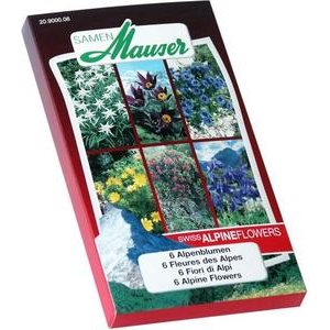 Samen Mauser Swiss Alpine Flowers Blumensamen