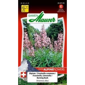 Samen Mauser Diptam Blumensamen