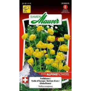 Samen Mauser Trollblume Blumensamen