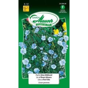 Samen Mauser Flachs blau blühend Blumensamen