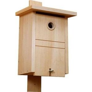 Bewo Meisennistkasten FSC Mix