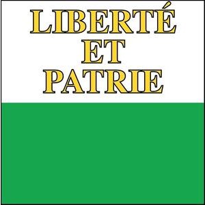 Swiss Finest Kantonsfahne Waadt