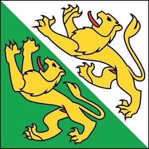 Swiss Finest Kantonsfahne Thurgau