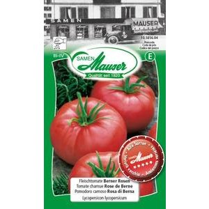 Samen Mauser Fleischtomate Berner Rosen