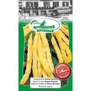 Samen Mauser Stangenbohne Berner Butter
