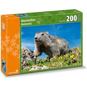 Carta.Media Murmeltier Puzzle 200 Teile