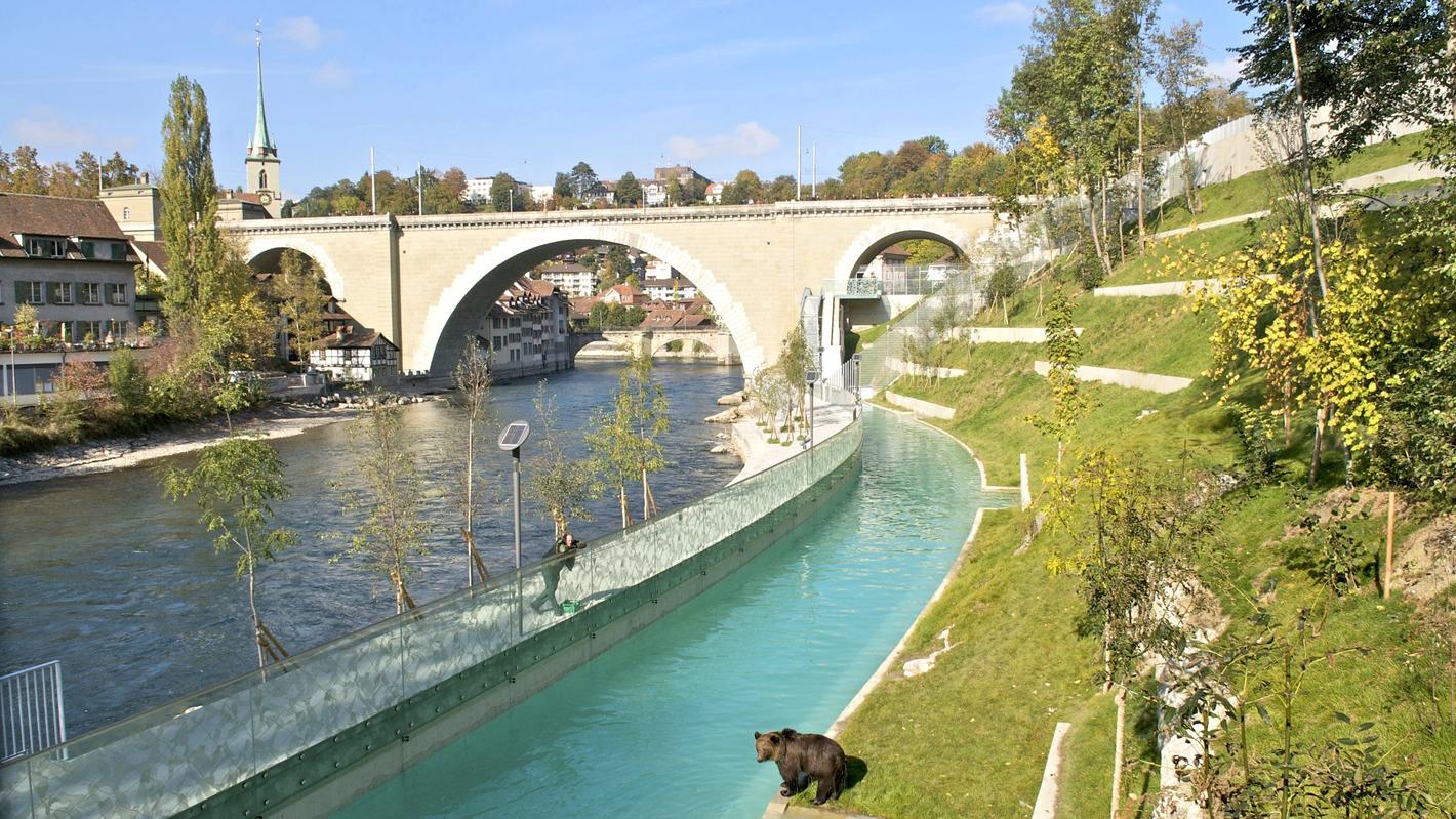 Der Berner Bär: ein Platz im Herzen der Stadt - © bern.com