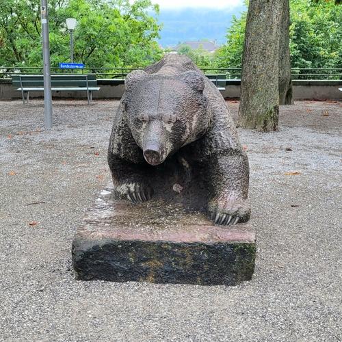 steinharter Bär - © Giulia Woschko