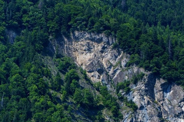 Erkennen Sie das «Hardermannli»?