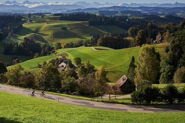 © bern.com
