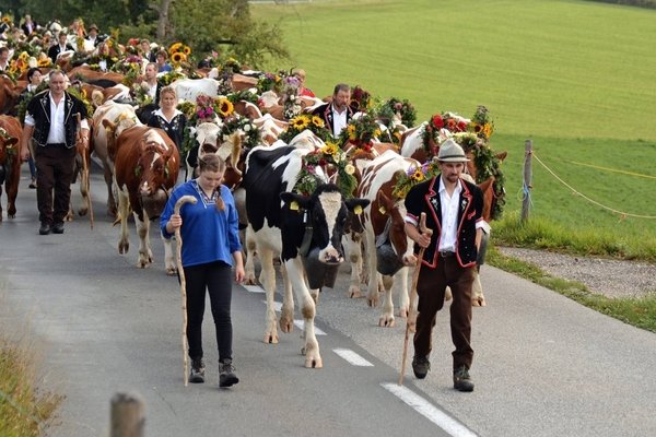 Alpabzug Sumiswald - © Gemeinde Sumiswald