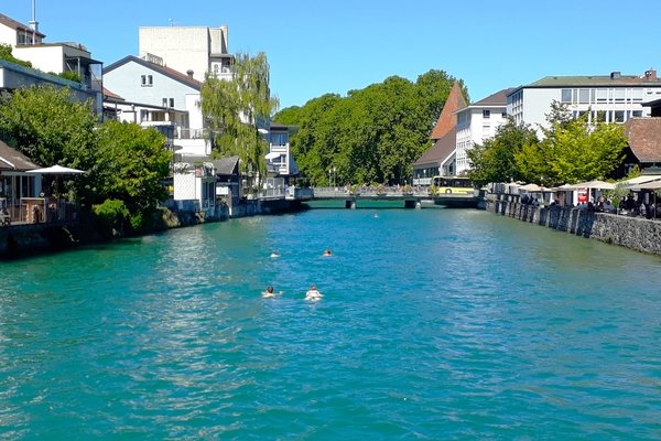 Aareschwimmen in Thun - © René Buss