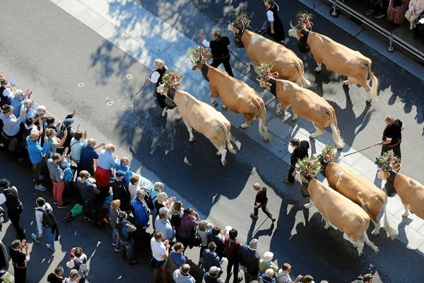 © Verein «Schweizerisches Trachten- und Alphirtenfest Unspunnen»