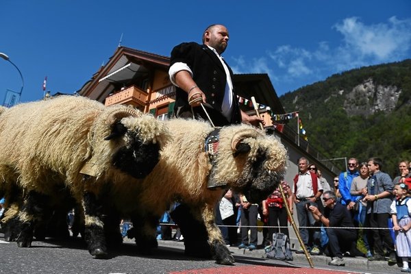© Verein «Schweizerisches Trachten- und Alphirtenfest Unspunnen»