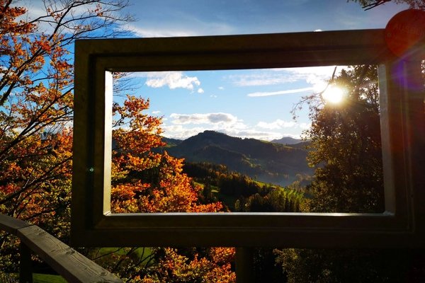© baumwipfelpfad.ch