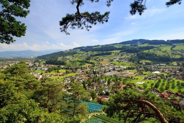 Rebkulturweg Thal - © St. Gallen-Bodensee Tourismus / Kurzschuss