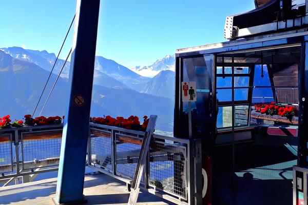 Geranien an der Seilbahn - © René Buss