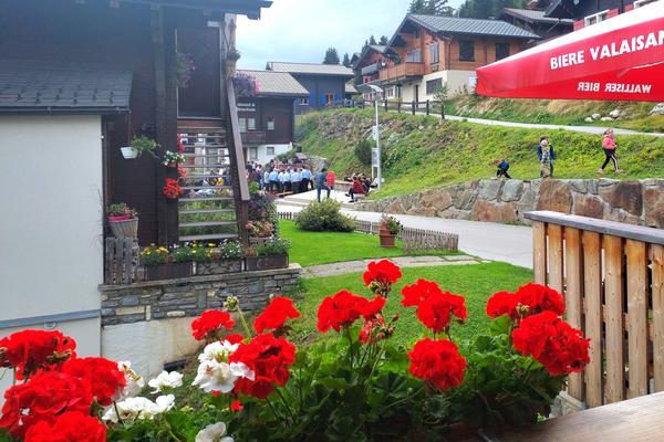Geranien an der Stammbeiz - © René Buss