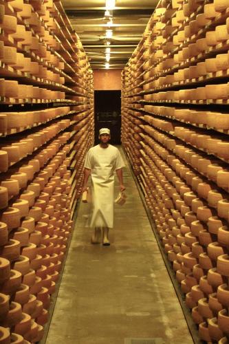 Gruyère im Reifekeller