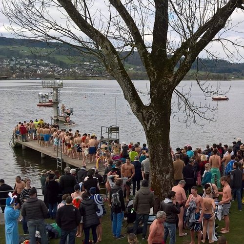© Ustermer Blaueierschwimmen