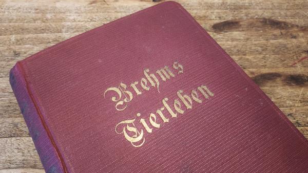Brehms Tierleben - © René Buss