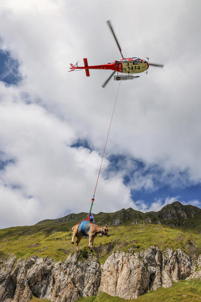 Ohne Heli geht nichts. - © REGA