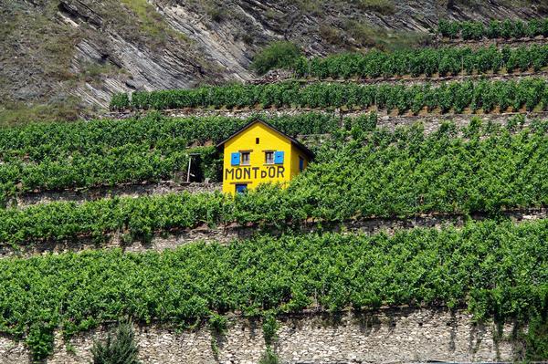 Domaine du Mont d'Or in Sion, Wallis