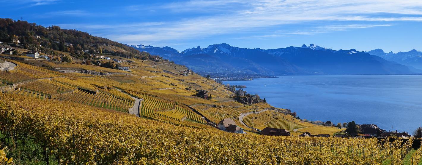 UNESCO Weltkulturerbe: Die Weinberge von Lavaux