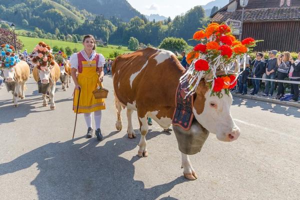 Alpabzug in Charmey - © fribourg.ch