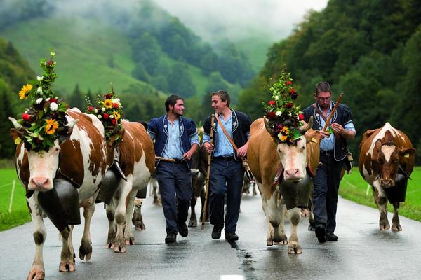 Alpabzug in Charmey - © fribourg.ch