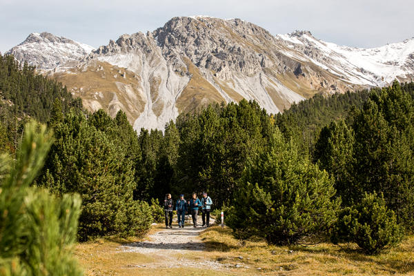 Schweizerischer Nationalpark - © Schweiz Tourismus / Nicola Fürer