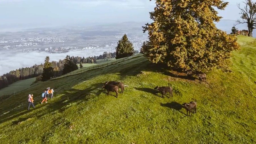 Zugerberg - © Zug Tourismus