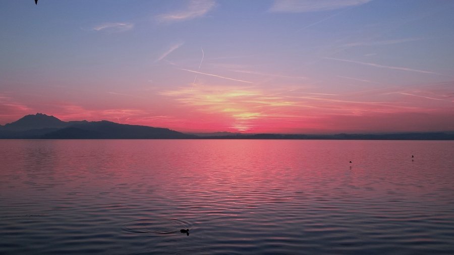 Sonnenuntergang am Zugersee