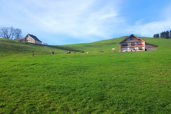 Appenzell - © René Buss