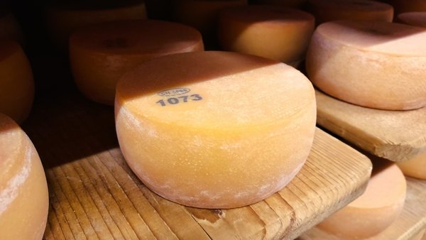 Bratkäse in der Käserei Seiler - © René Buss