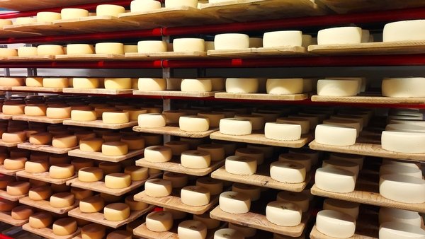 Bratkäse in der Käserei Seiler - © René Buss