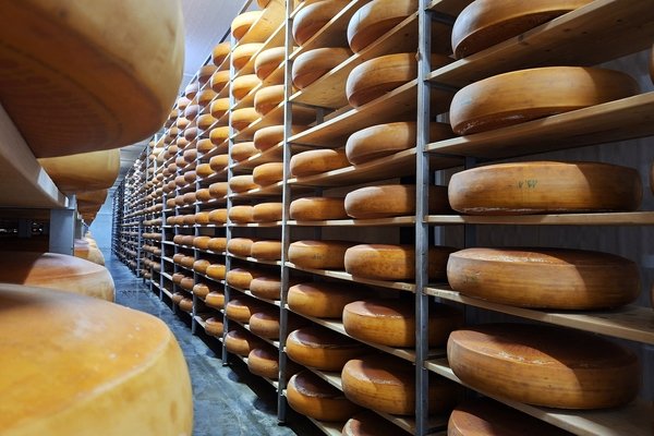 Emmentaler so weit das Auge reicht. - © René Buss