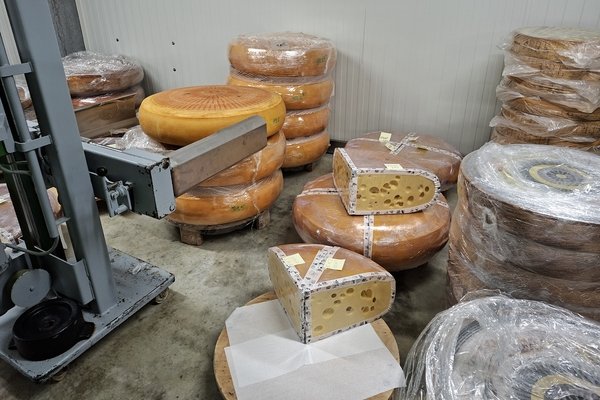 Es braucht schweres Gerät, um einen über 100kg schweren Emmentaler zu bewegen! - © René Buss