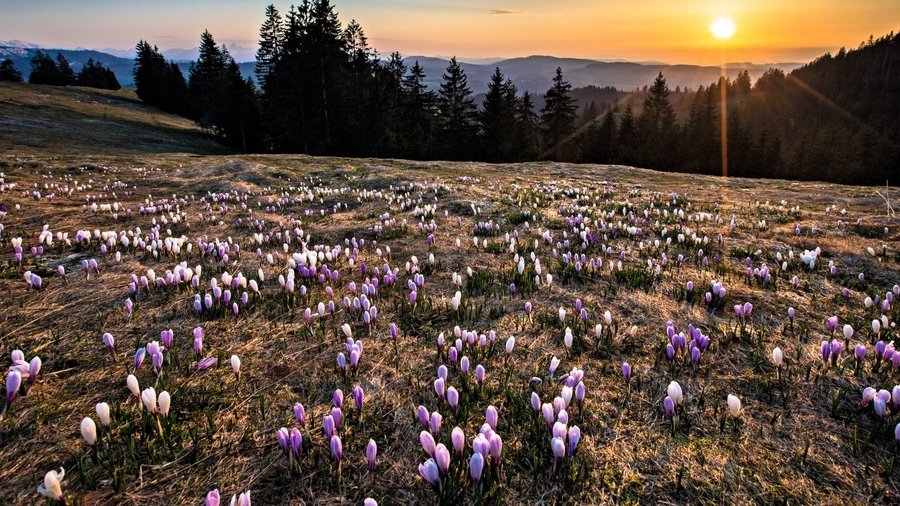 © Myswitzerland / Jan Geerk