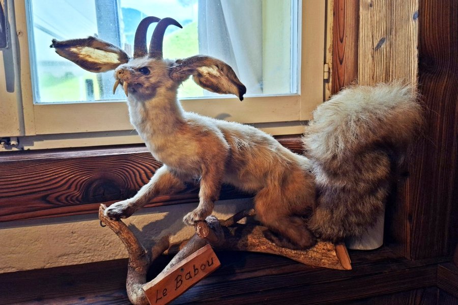 Ein «Wolpertinger» im Wallis. - © René Buss
