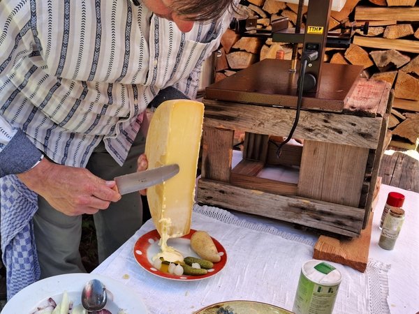 Gezahnte Schneide für die Rinde. - © René Buss