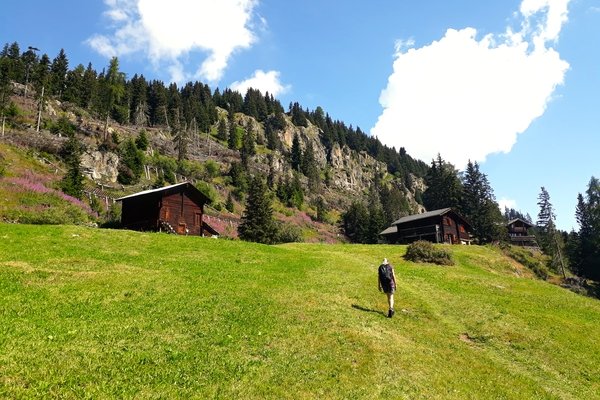 In solchen Wiesen verstecken sich Thymian und Co. - © René Buss