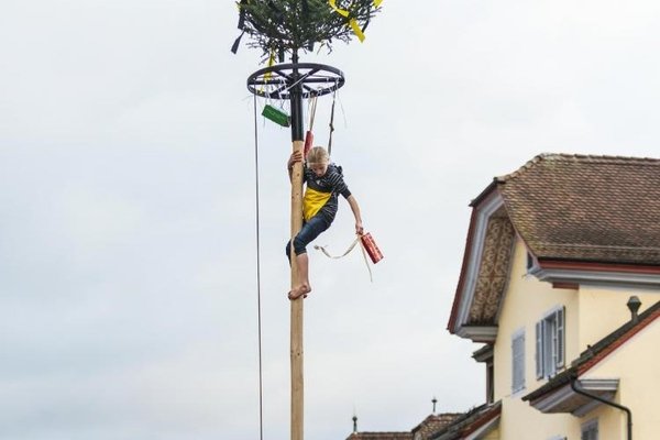 © Bruno Meier, Sursee