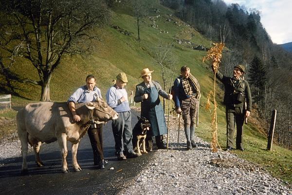 Die Wetterpropheten 1979