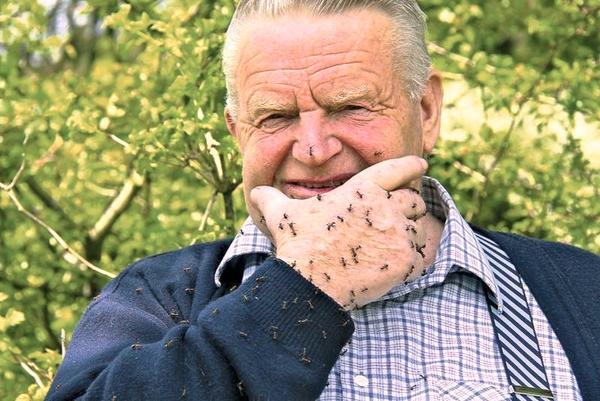Martin Horat und seine Ameisen - © Wetterschmöcker / Facebook