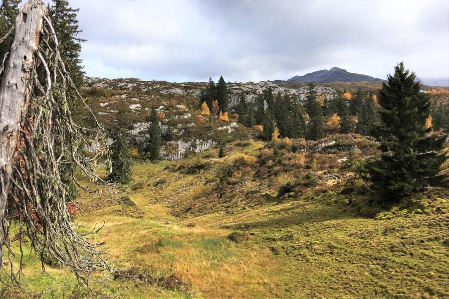 © Stoos-Muotatal Tourismus