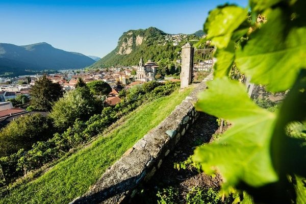 Weinberge von Mendrisio - © mendrisiottotourismo.ch