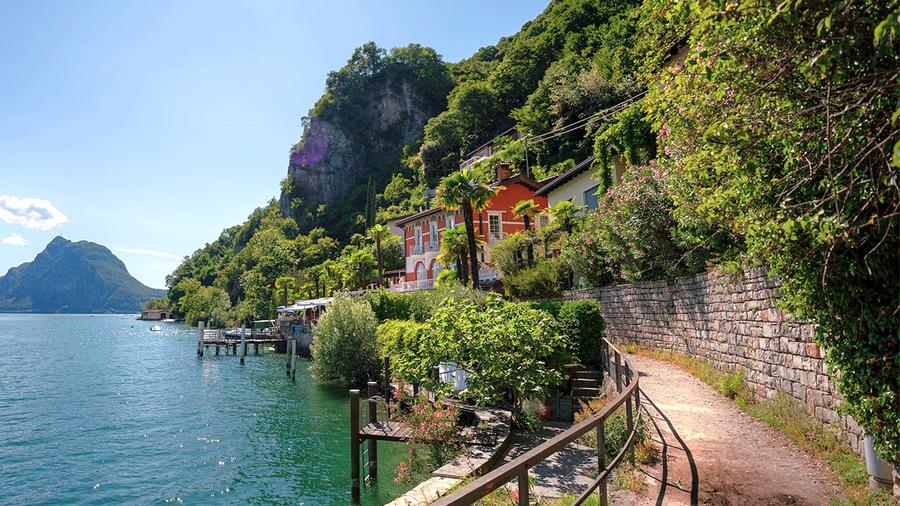 Olivenweg - © Lugano Region